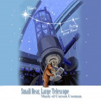 Small Bear, Large Telescope: Music of Carson Cooman